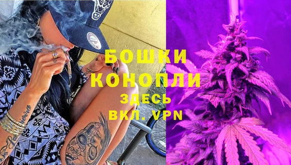 герыч Мегион