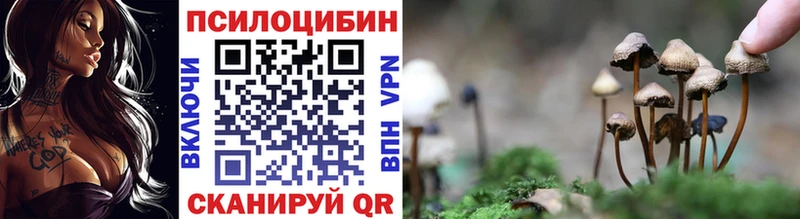 где можно купить наркотик  Всеволожск  Галлюциногенные грибы ЛСД 