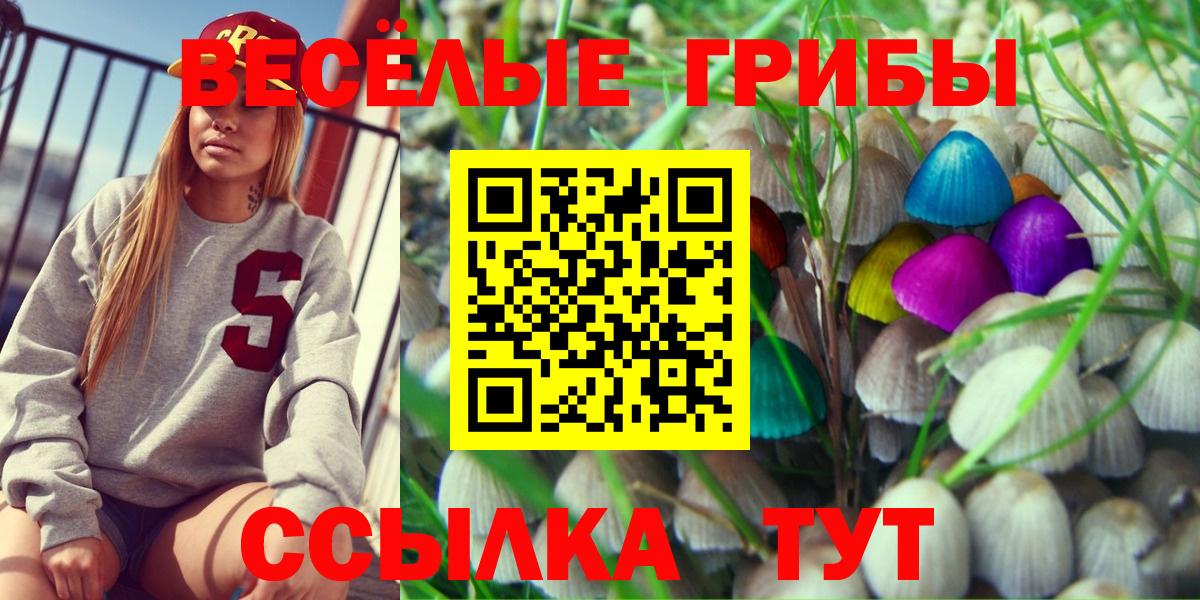 Псилоцибиновые грибы GOLDEN TEACHER Всеволожск