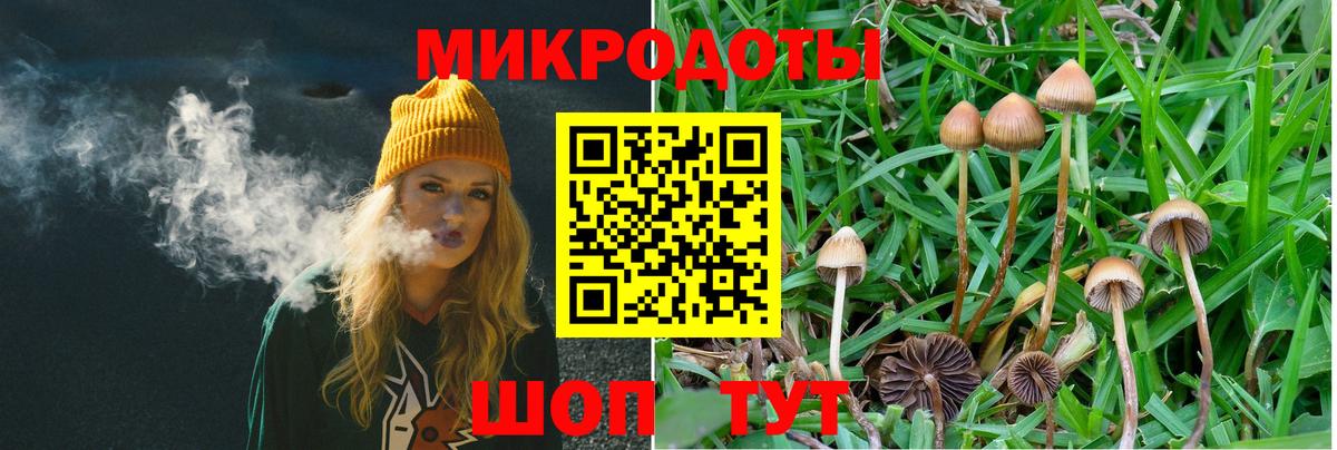 Галлюциногенные грибы Cubensis  Галлюциногенные грибы Psilocybe  Вход с VPN  купить наркоту  Всеволожск 